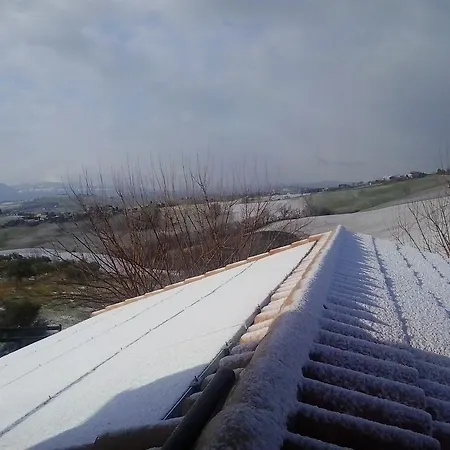 Agriturismo Il Moro Degli Alpaca Alloggio per agriturismo Filottrano