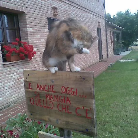 Agriturismo Il Moro Degli Alpaca Alloggio per agriturismo *