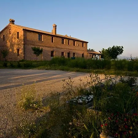 Alloggio per agriturismo Agriturismo Il Moro Degli Alpaca Filottrano