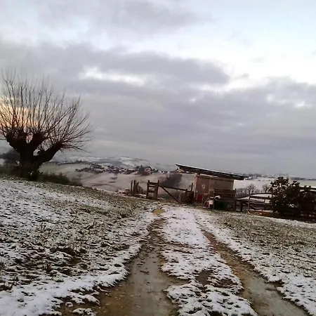 Agriturismo Il Moro Degli Alpaca Alloggio per agriturismo