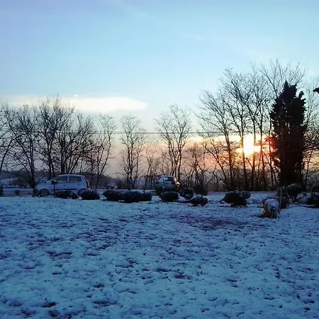 Agriturismo Il Moro Degli Alpaca Alloggio per agriturismo *